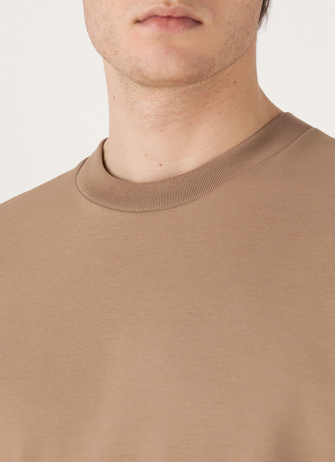 Men's Relaxed Fit Heavyweight T-shirt in Dune