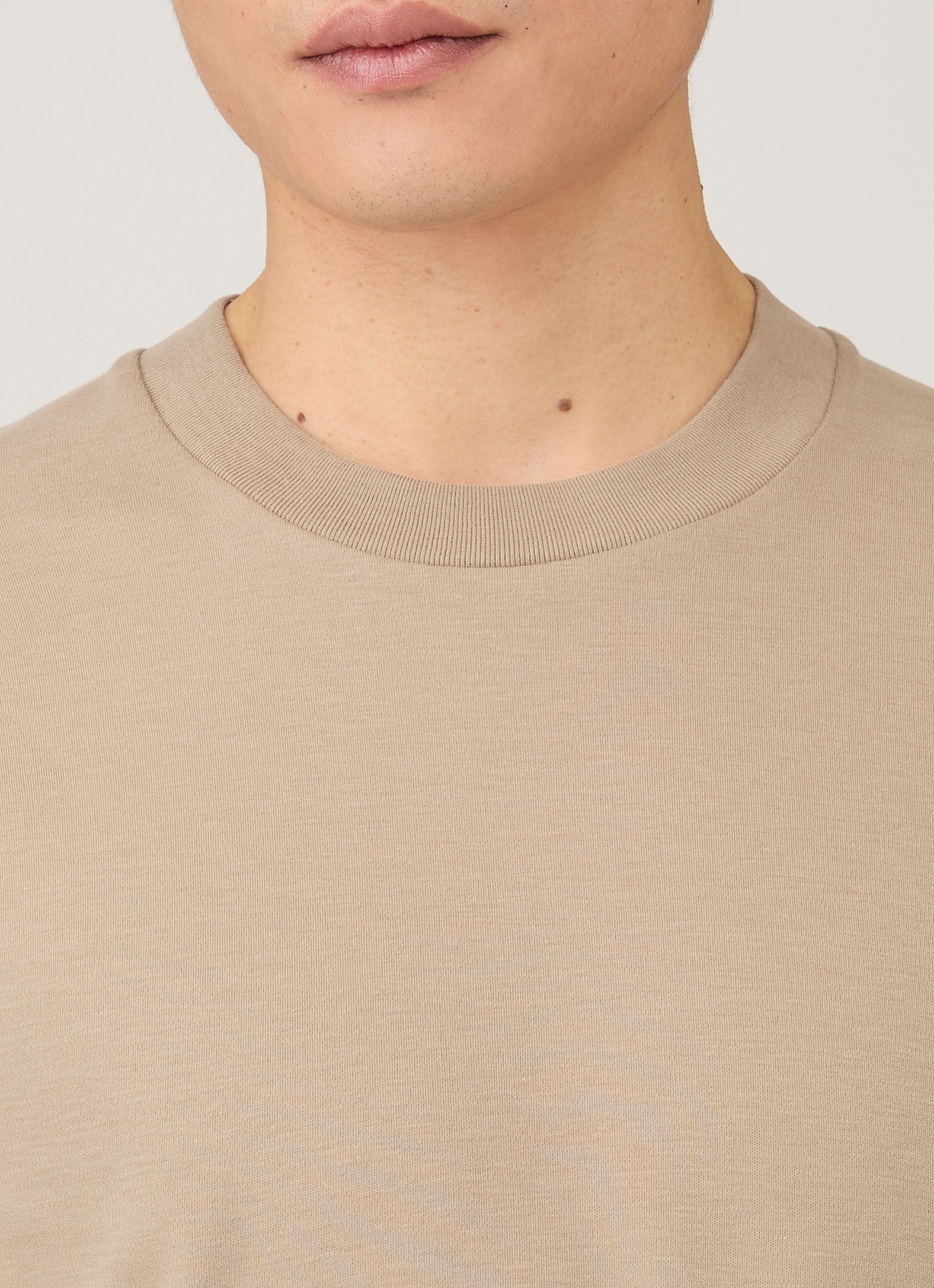 Men's Relaxed Fit Heavyweight T-shirt in Mink