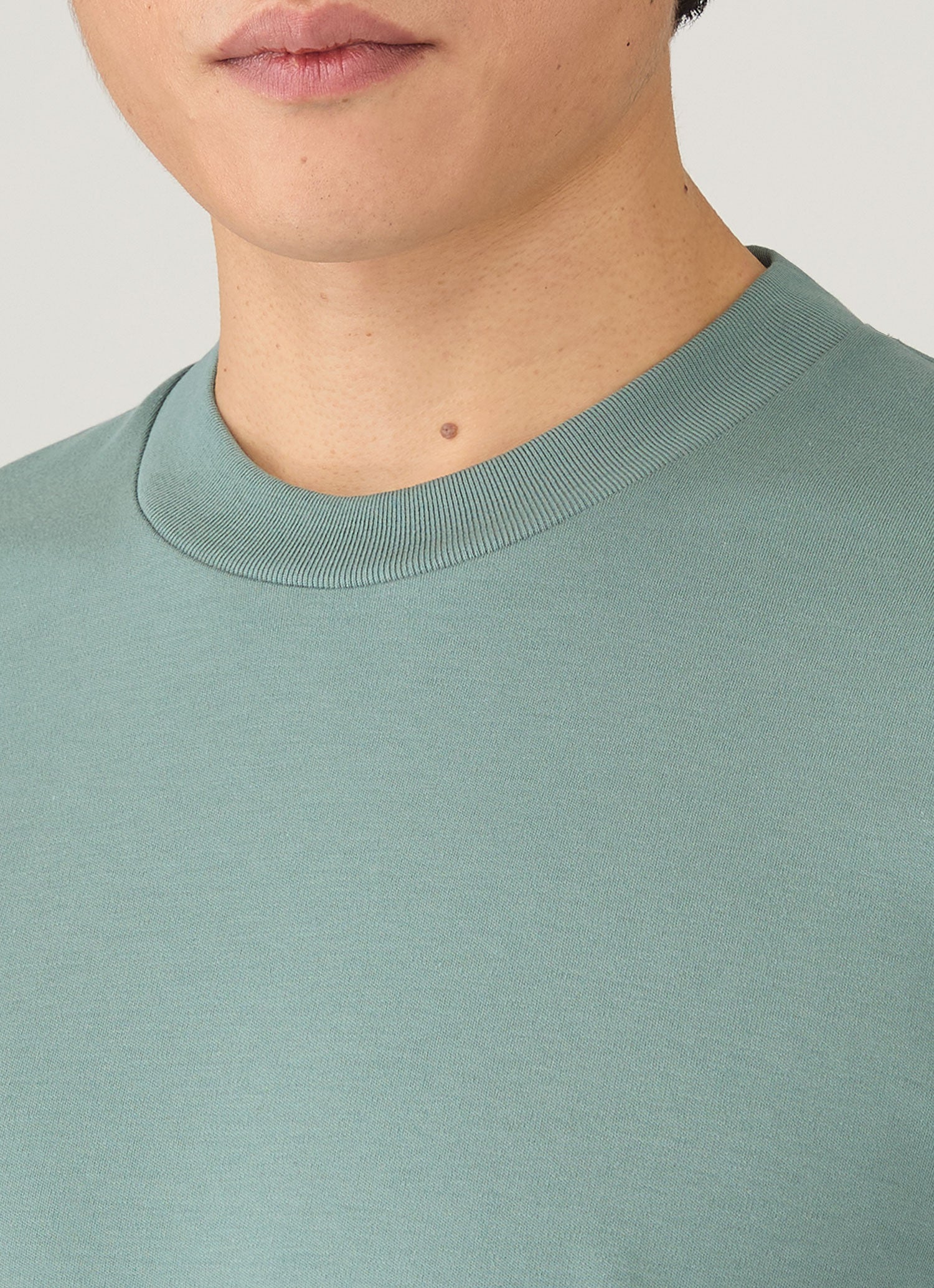 Men's Relaxed Fit Heavyweight T-shirt in Steel Green