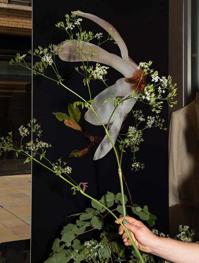 A Sunspel Floral Feast