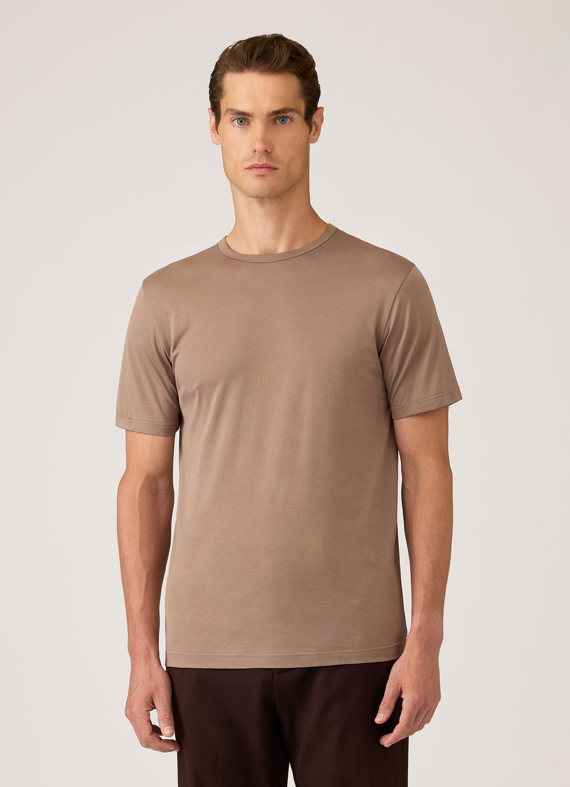 Men's Classic T-shirt in Taupe