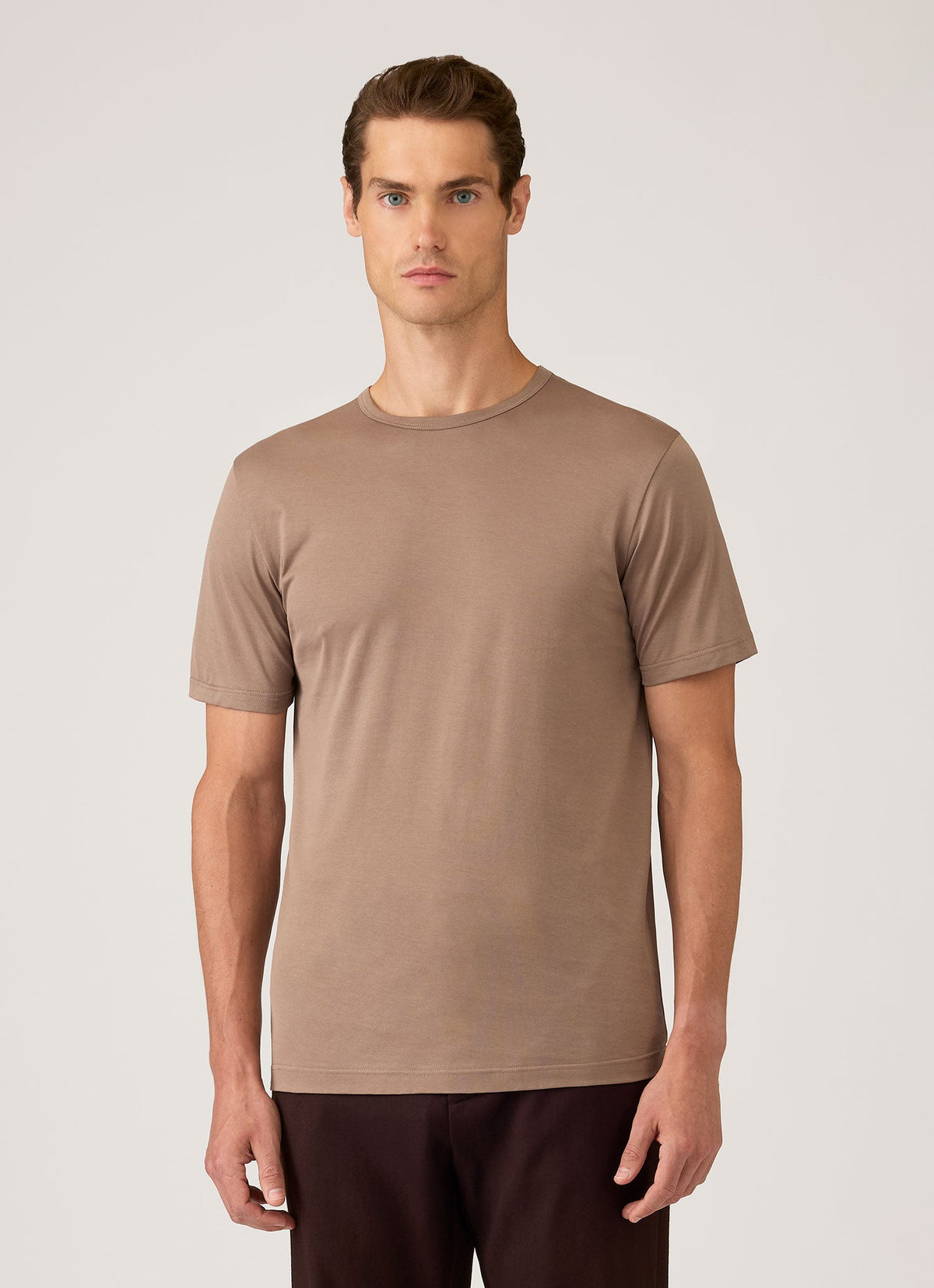 Men's Classic T-shirt in Taupe