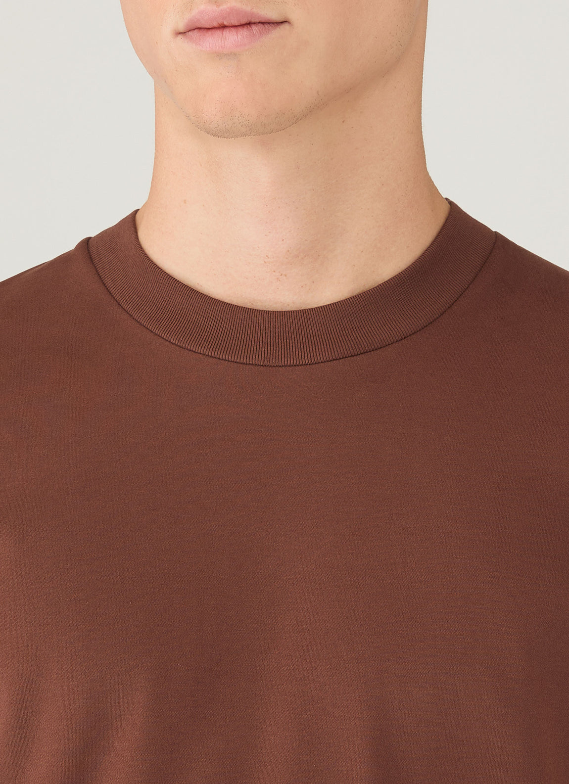 Men's Relaxed Fit Heavyweight T-shirt in Conker Brown
