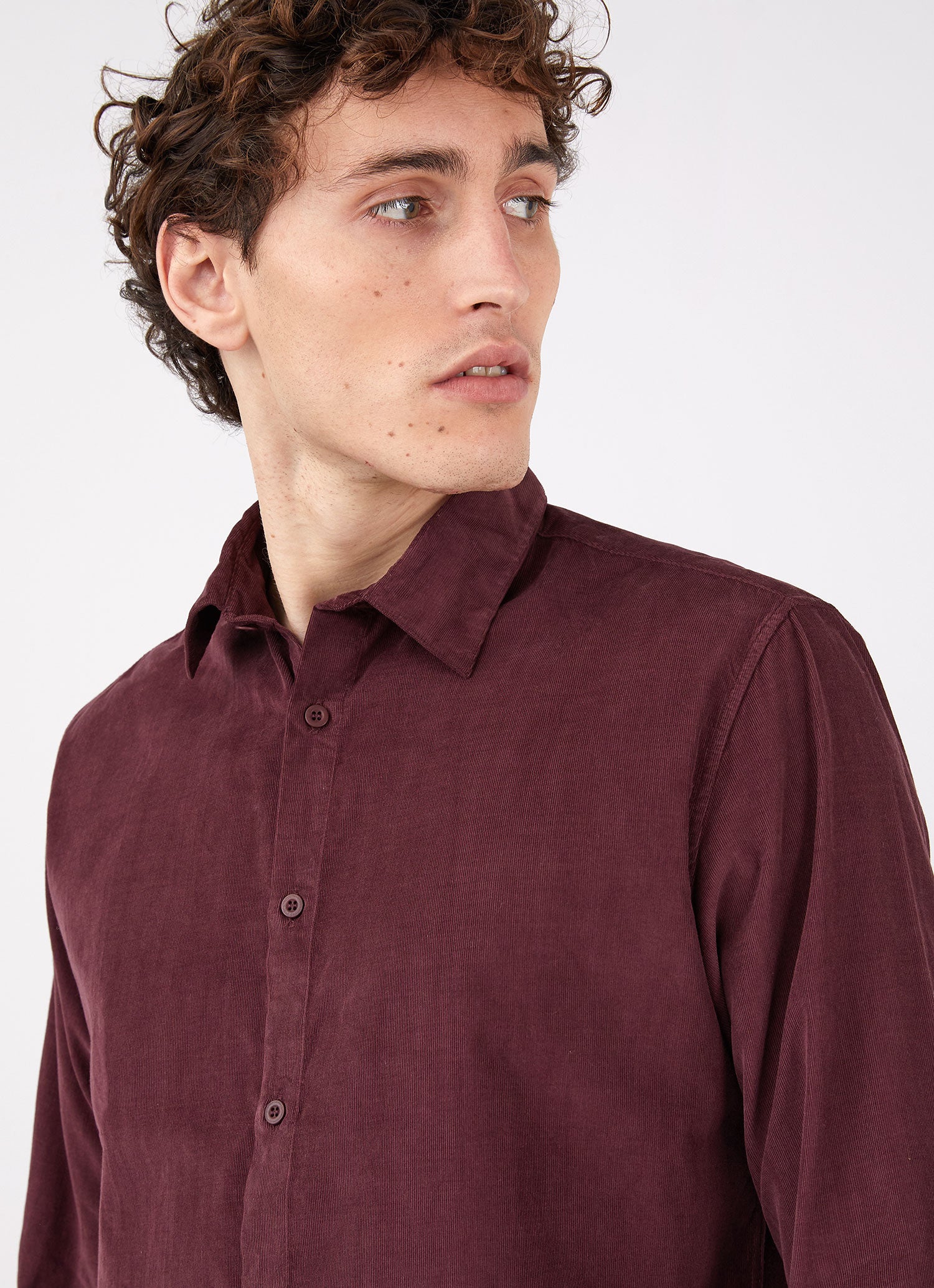 Men's Fine Cord Shirt in Port
